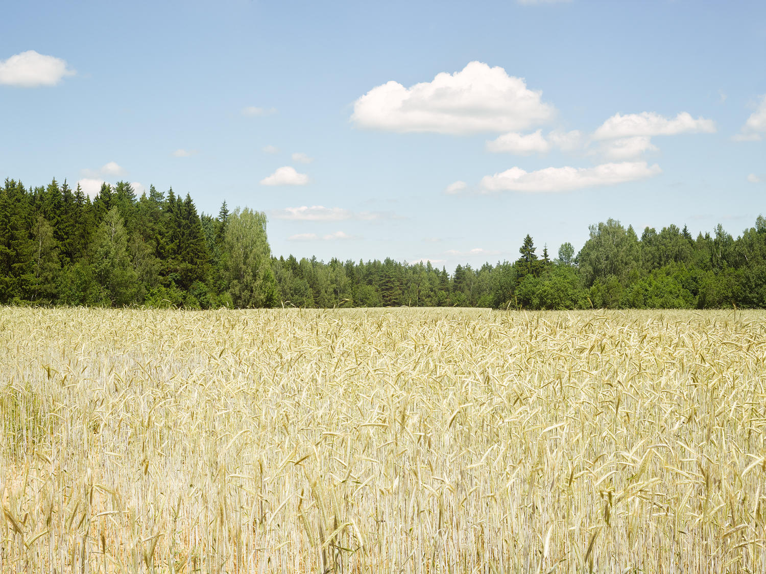 Rakaw, Belarus