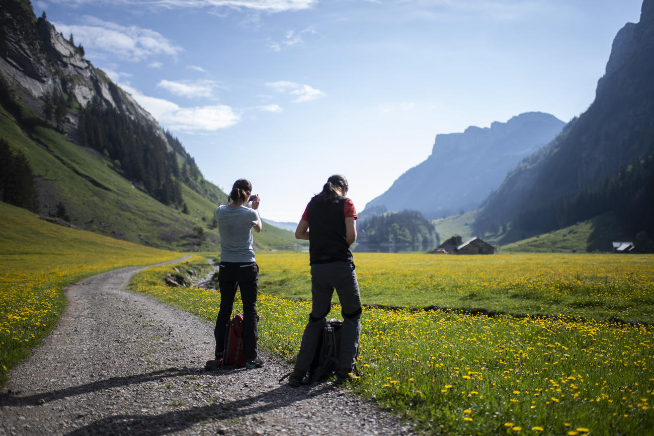 Couple of hikers
