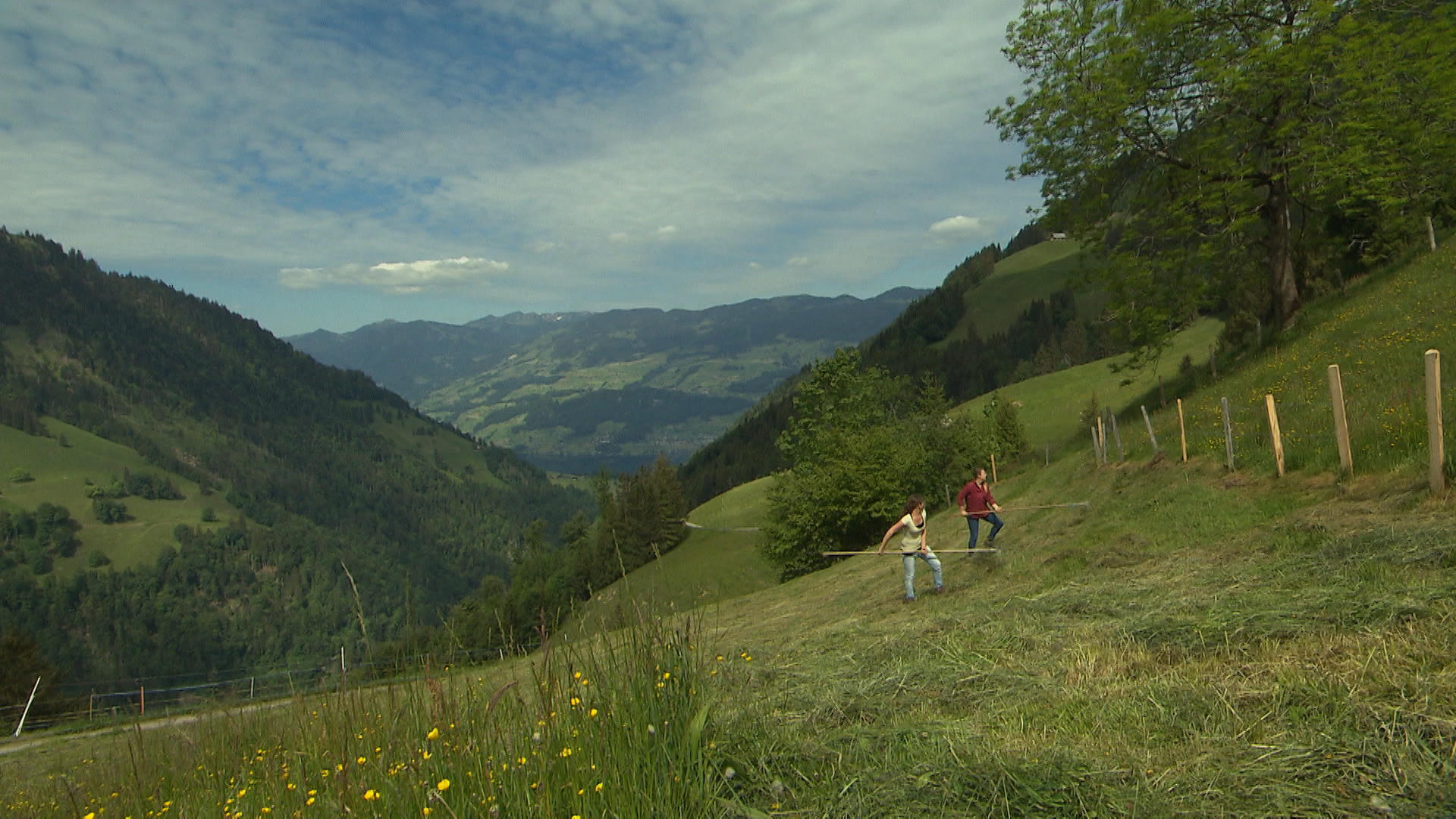 Making hay in a steep meadow in canton Obwalden