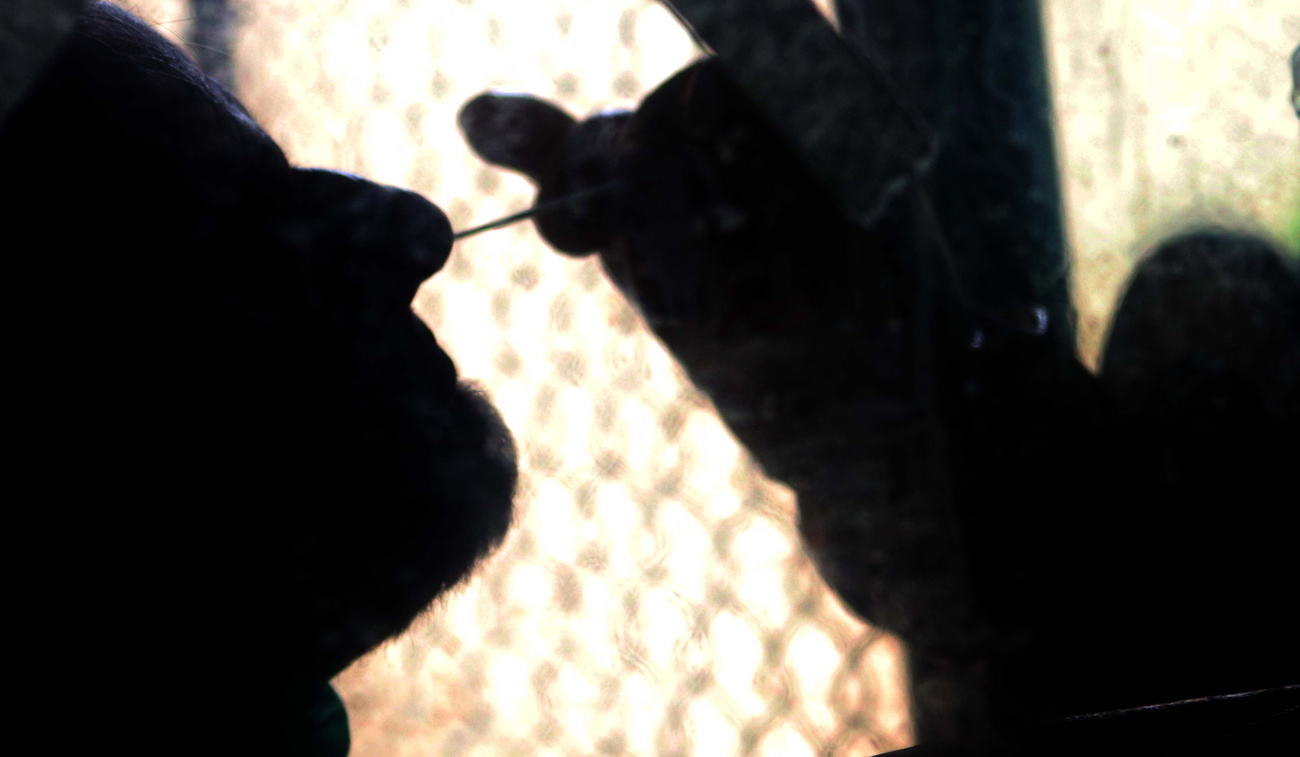 Operatore sanitario effettua tampone Covid a un uomo; si vedono solo silhouette in controluce.