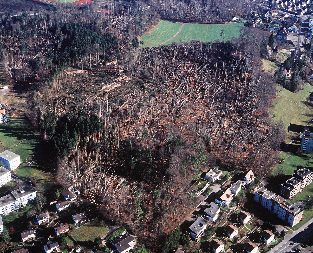 暴風雨「ロタ」の被害を受けたチューリヒ州ウスター近郊の森