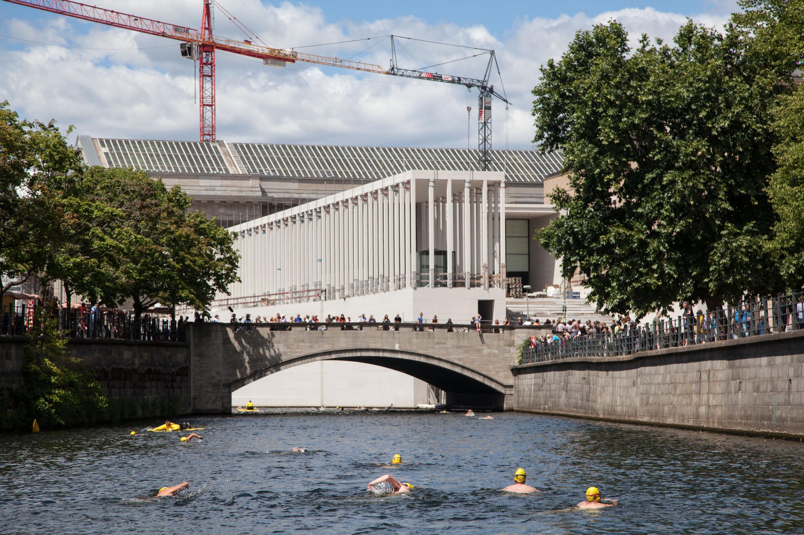 Schwimmer im Fluss