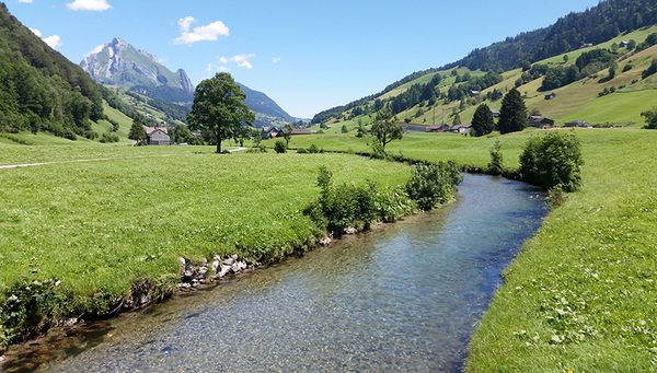 Environmental DNA samples were taken from the Thur river in northeast Switzerland.
