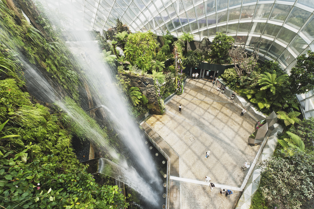 cascata e vegetazione all interno di un edificio vetrato
