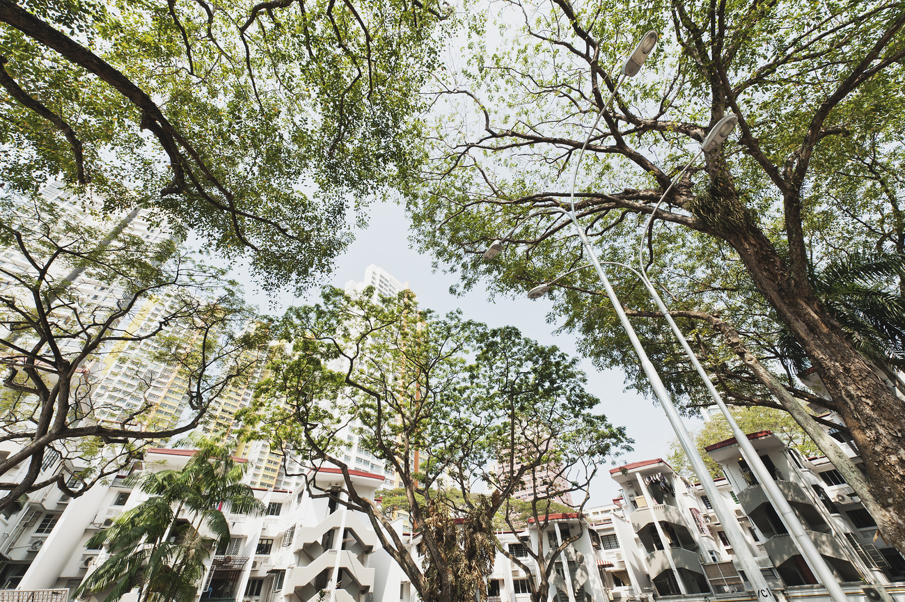 un quartier d immeubles avec de nombreux arbres