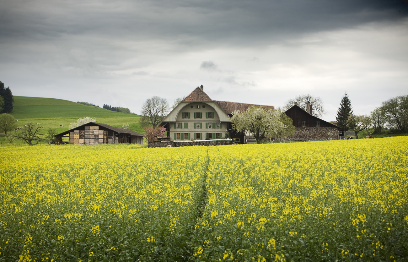 Bauernhaus vor Rapsfeld