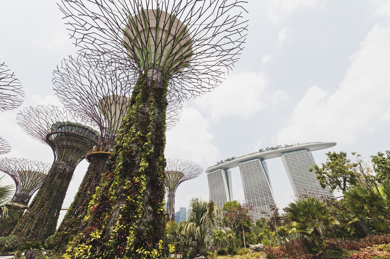 singapore