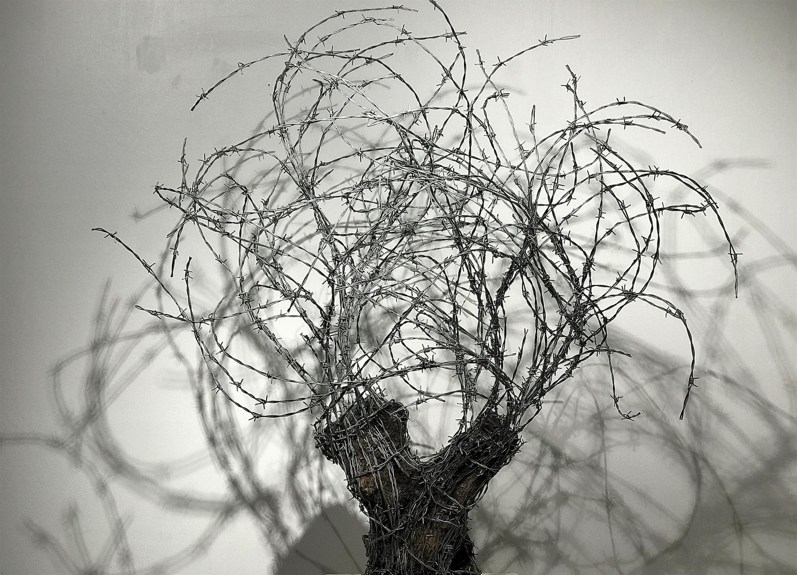 Olivier de fer
