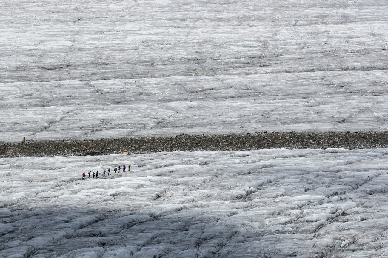 glacier walkers