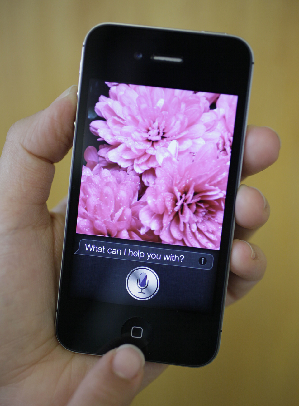 L un des inventeurs de l assistant vocal Siri est suisse.