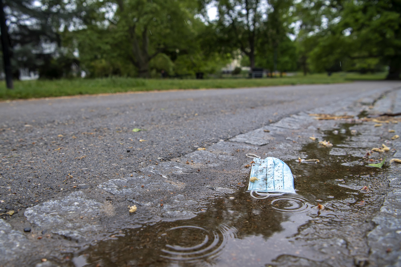 mask in a street puddle