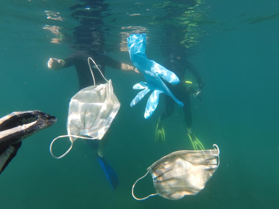 mask and glove underwater with divers