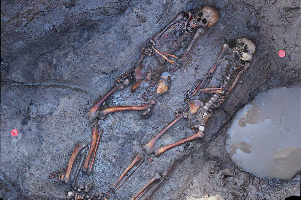 Two skeletons in a grave