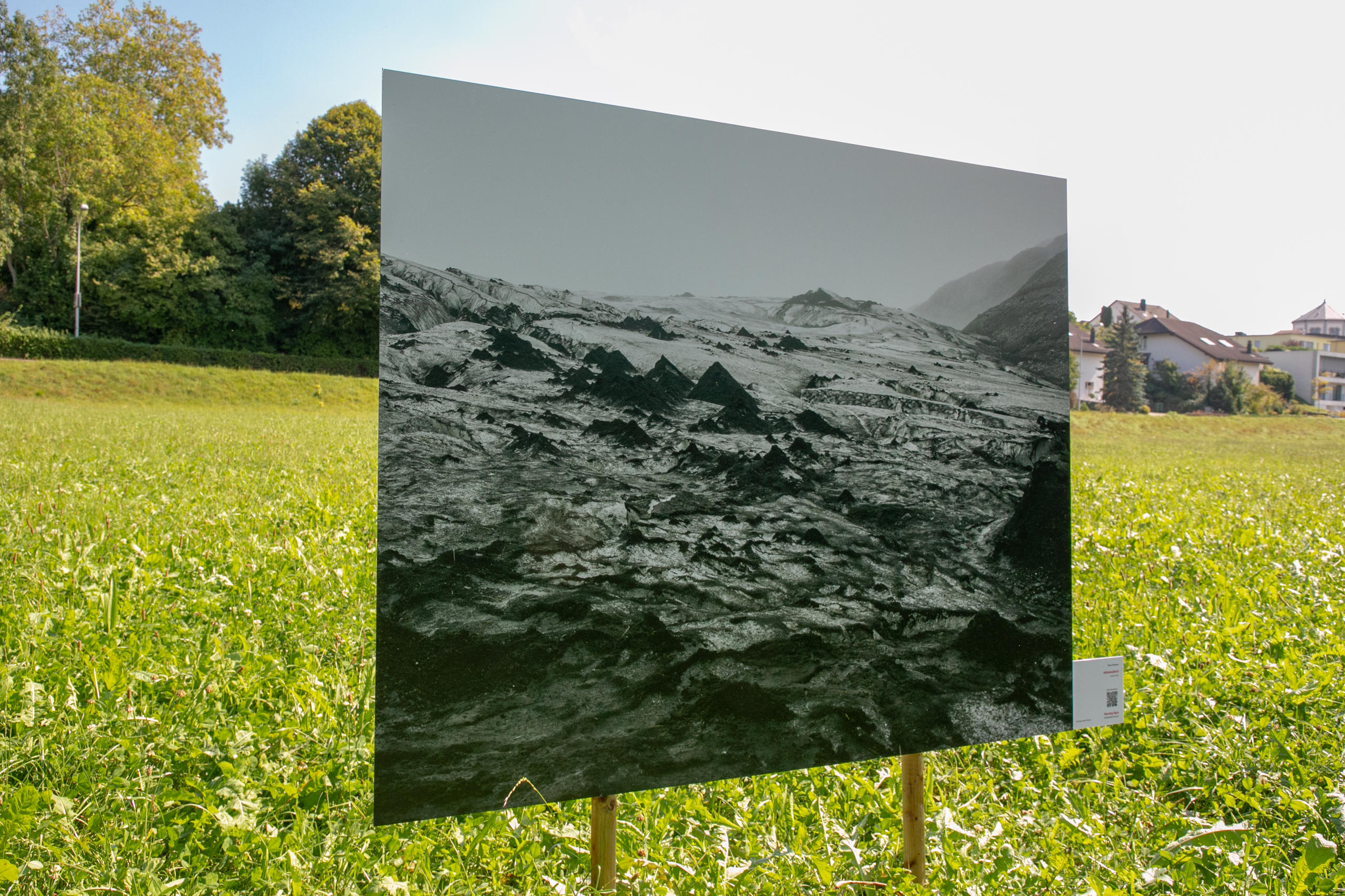 Fotografie auf Wiese