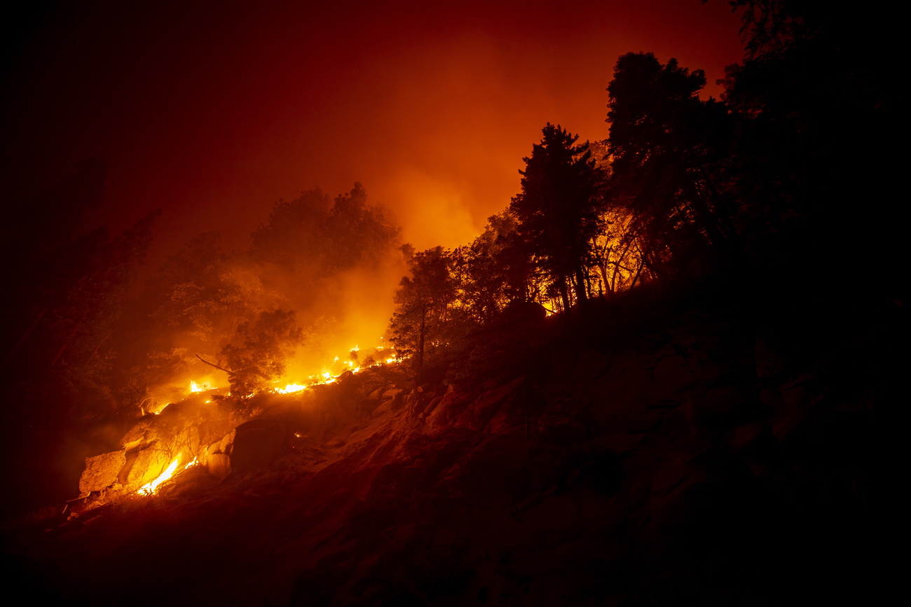 La foresta che brucia in California durante la notte.