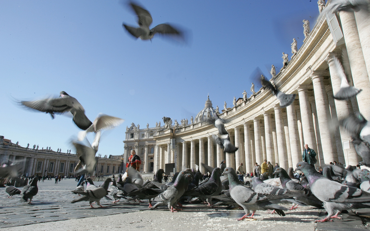 Pigeons au Vatican