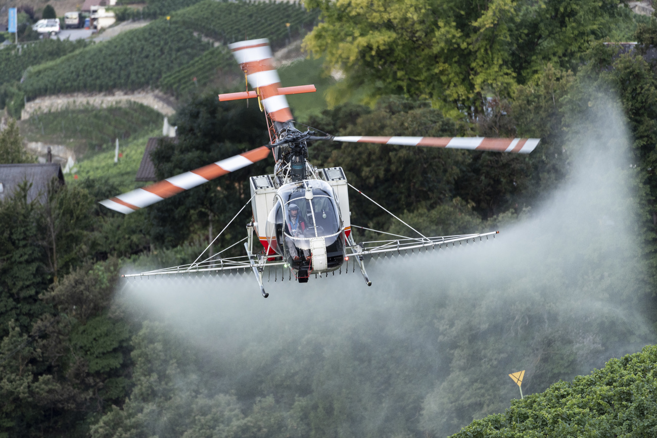 Helikopter versprüht Pestizide