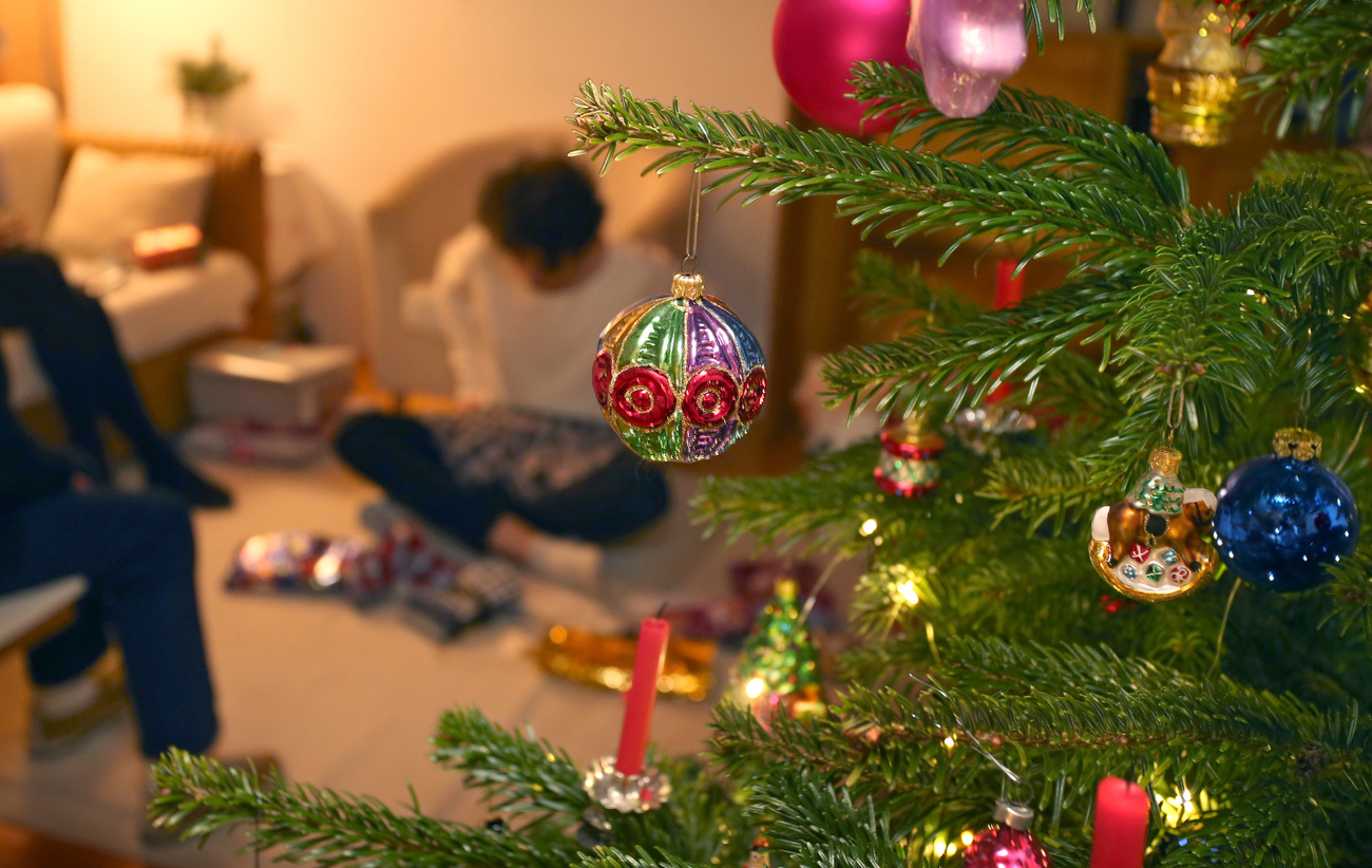 Weihnachtsbaum