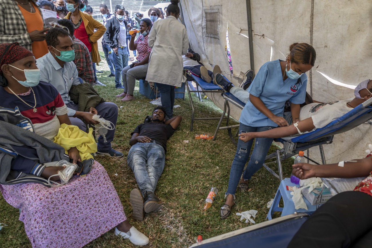 Ethiopia blood donors