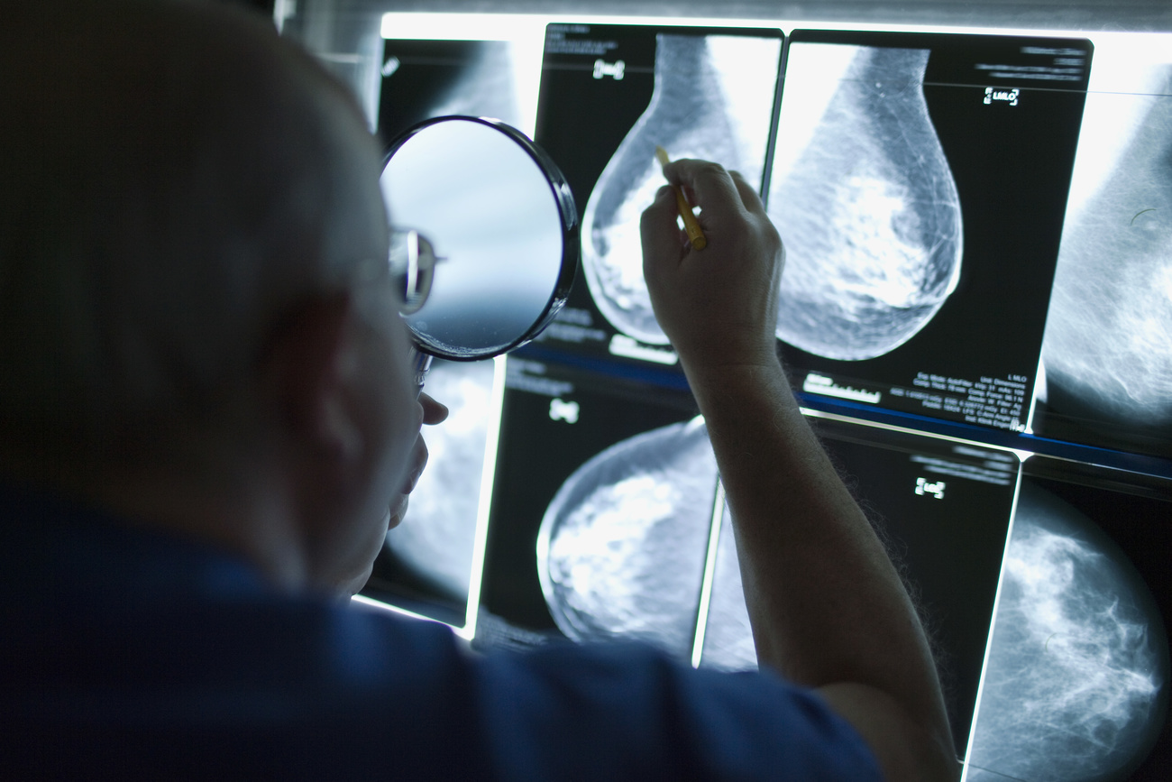 Medico osserva radiografie