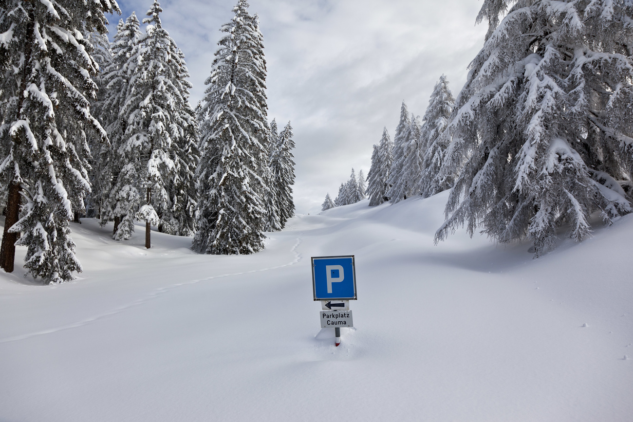 A parking sign almost covered in snow.