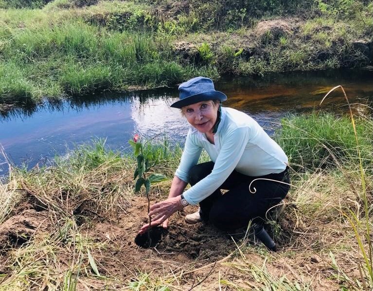 Anita plantando uma muda à beira de um rio