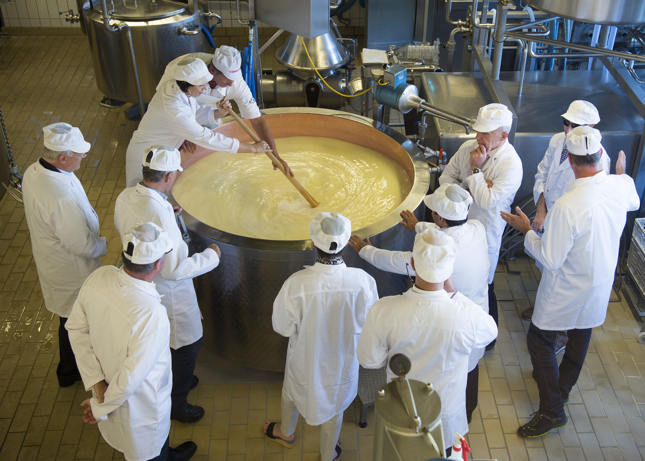 Personnes en blancs dans une fabrique de fromage.