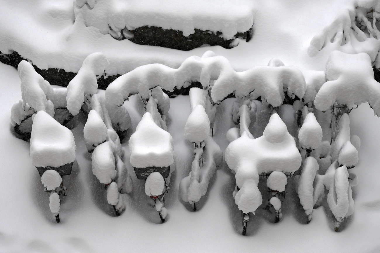 snow covered bikes