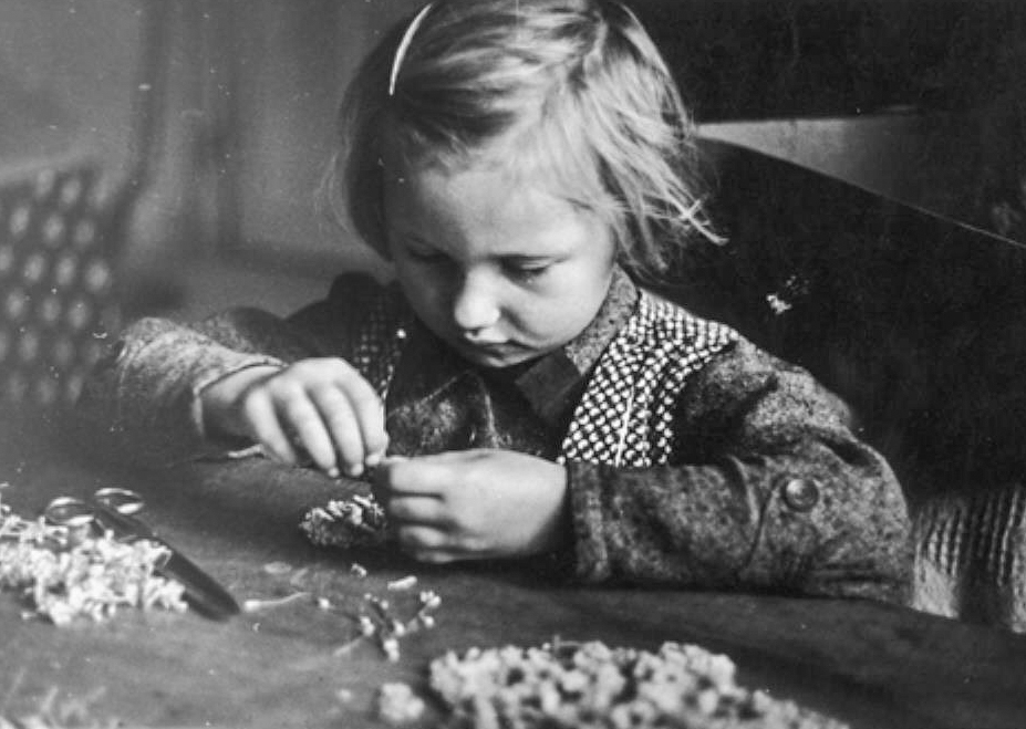 造花を作る小さな女の子。1930年頃