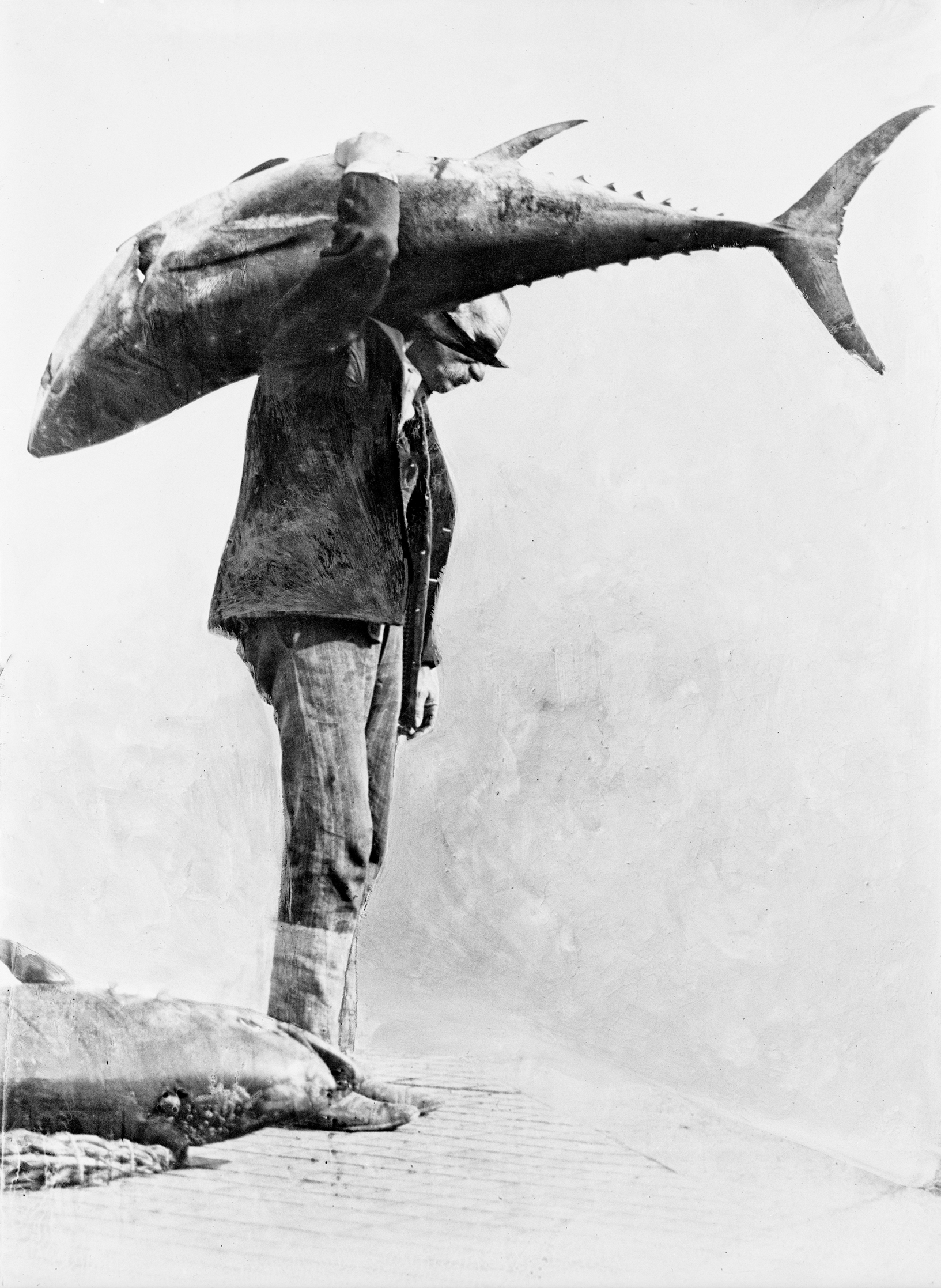 صياد يحمل سمكة