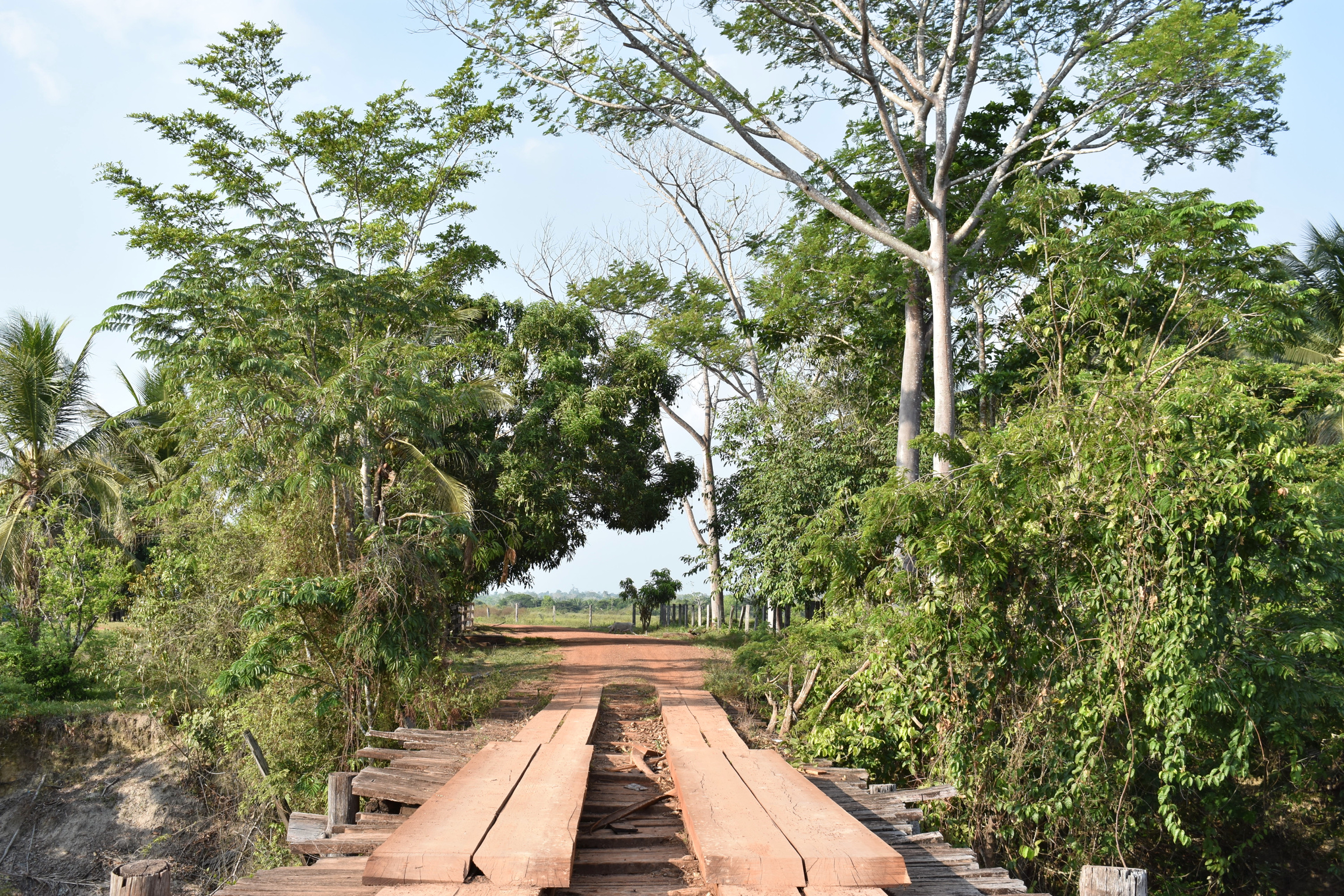 bridge