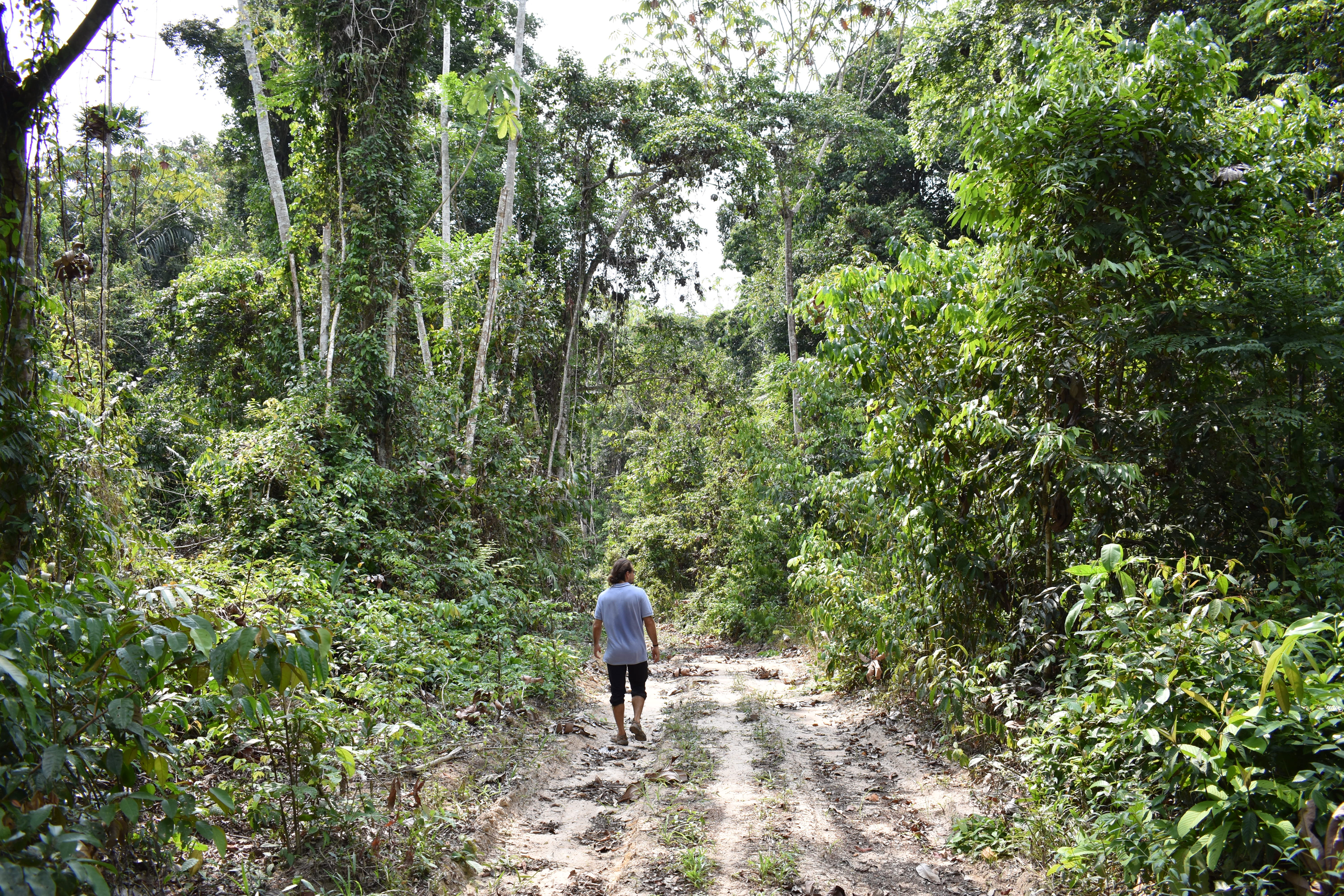 trail
