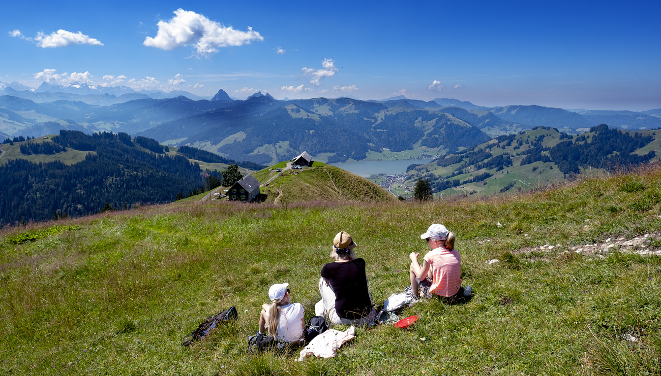Vista sulle Prealpi nel Canton Svitto