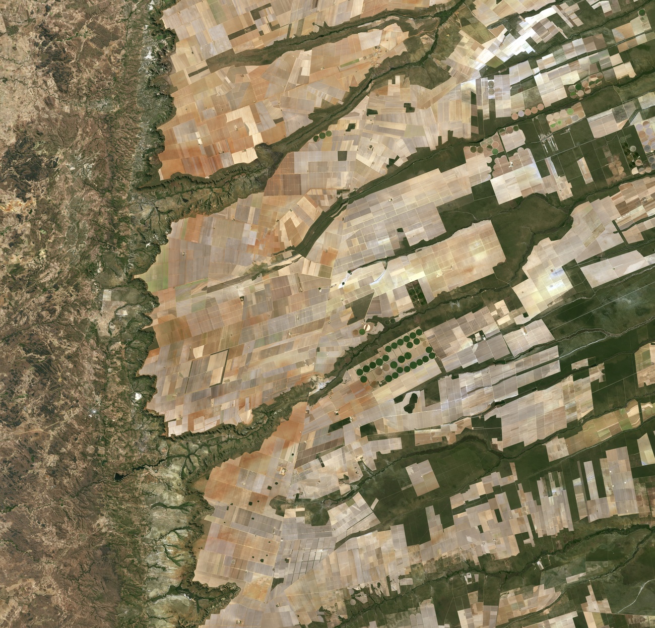 Une image satellite de la culture du soja dans le centre-est du Brésil