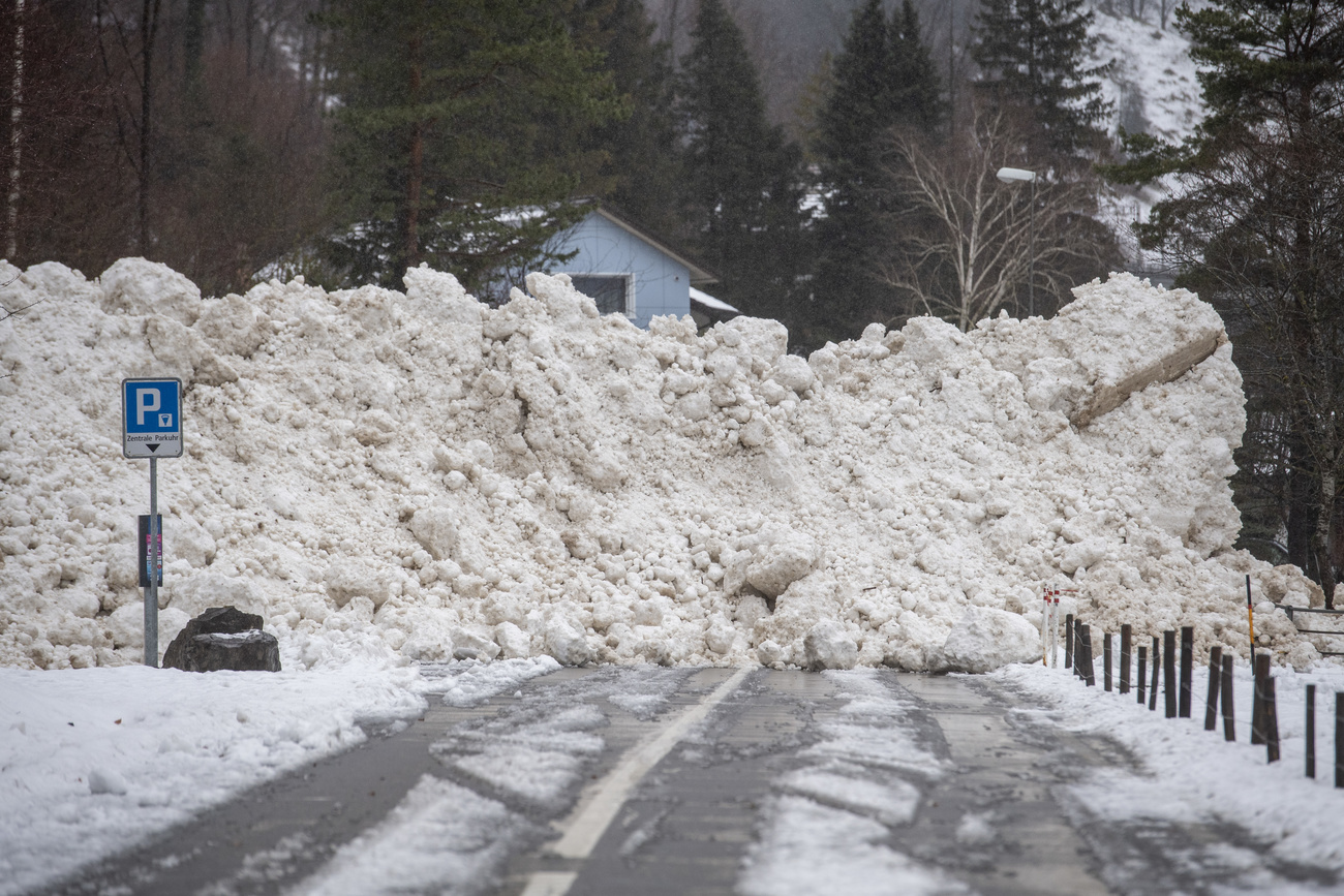 Avalanche