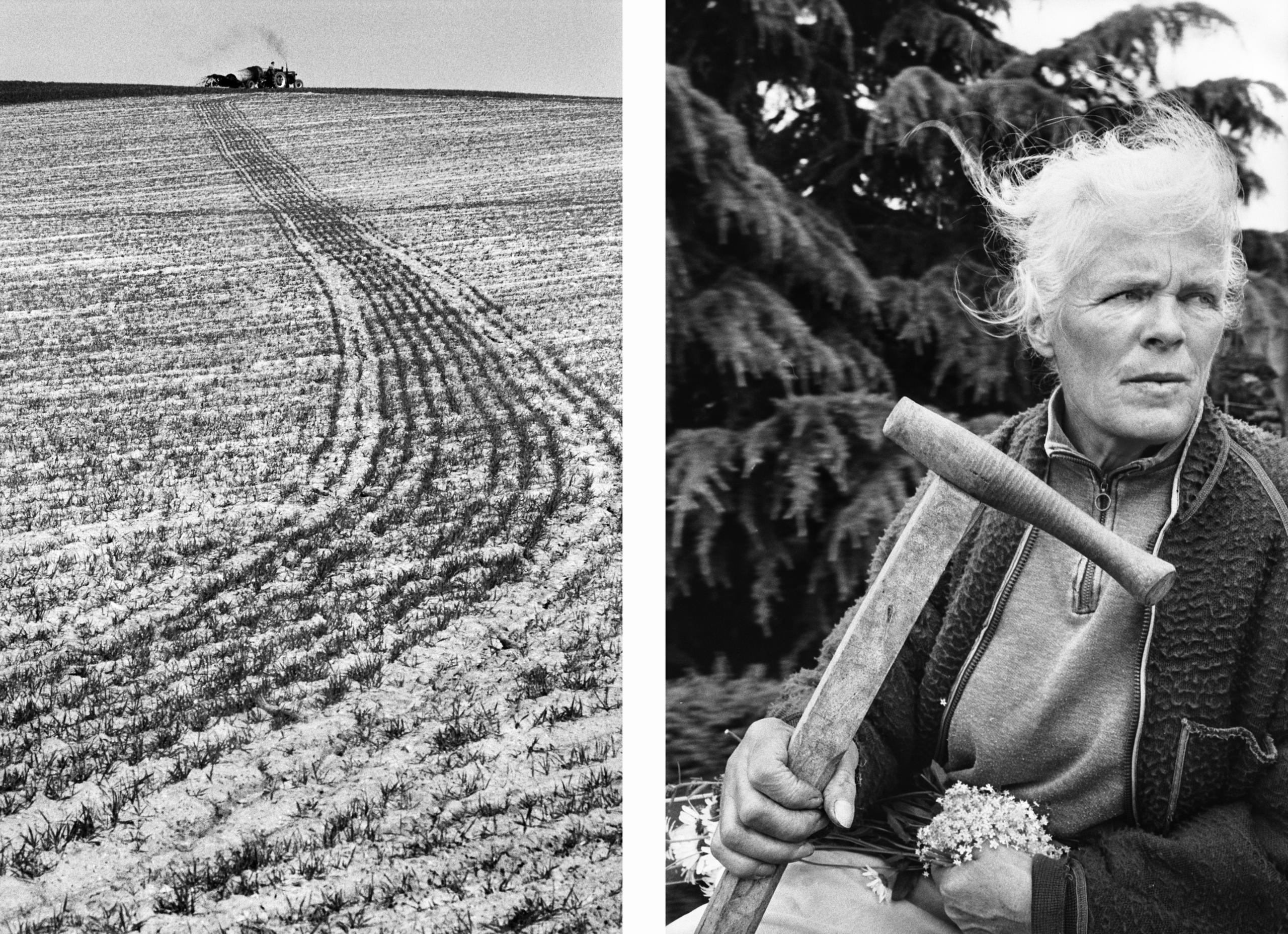 Ein Feld und eine Frau mit einer Sense