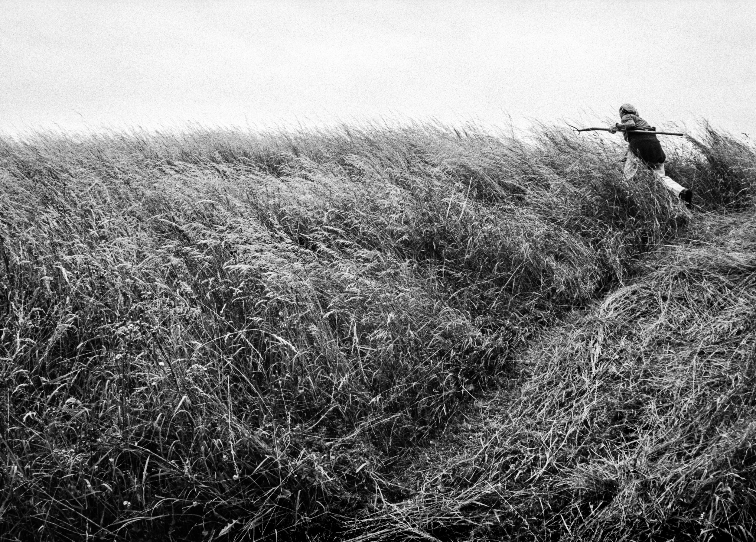 Frau auf einem Feld