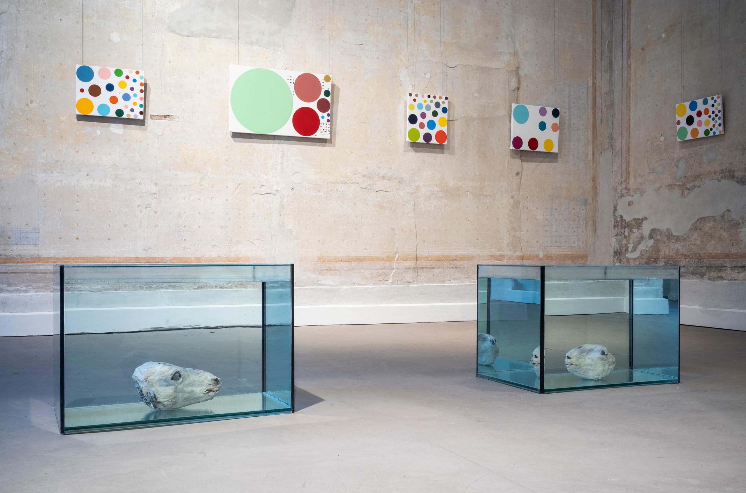 Mental Escapology at the Forum Paracelsus