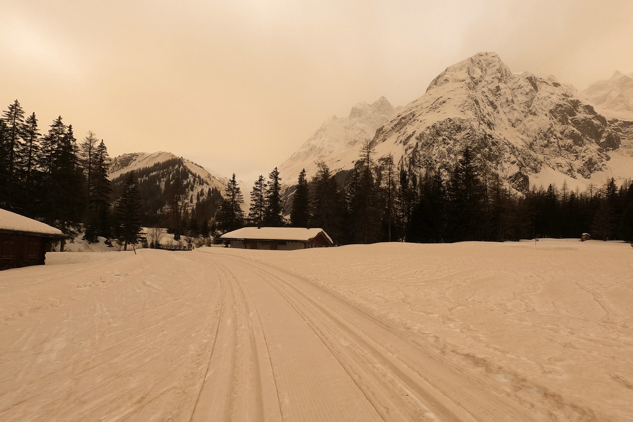 snow