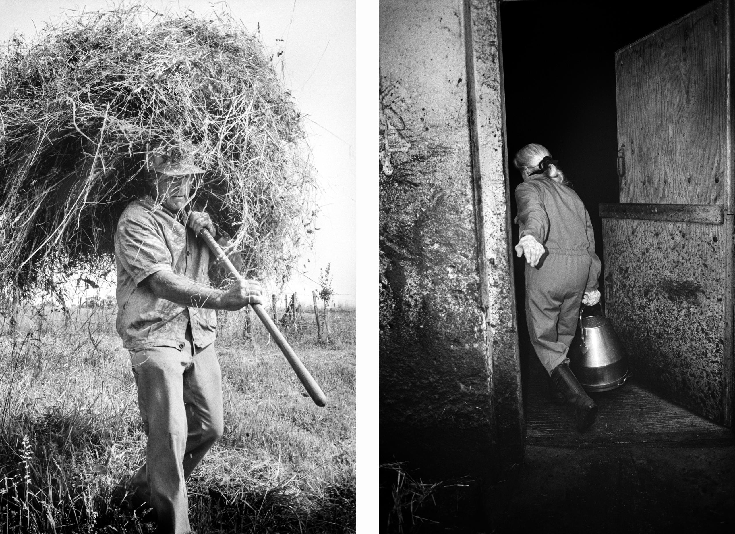 un homme aux champs et une femme dans l étable