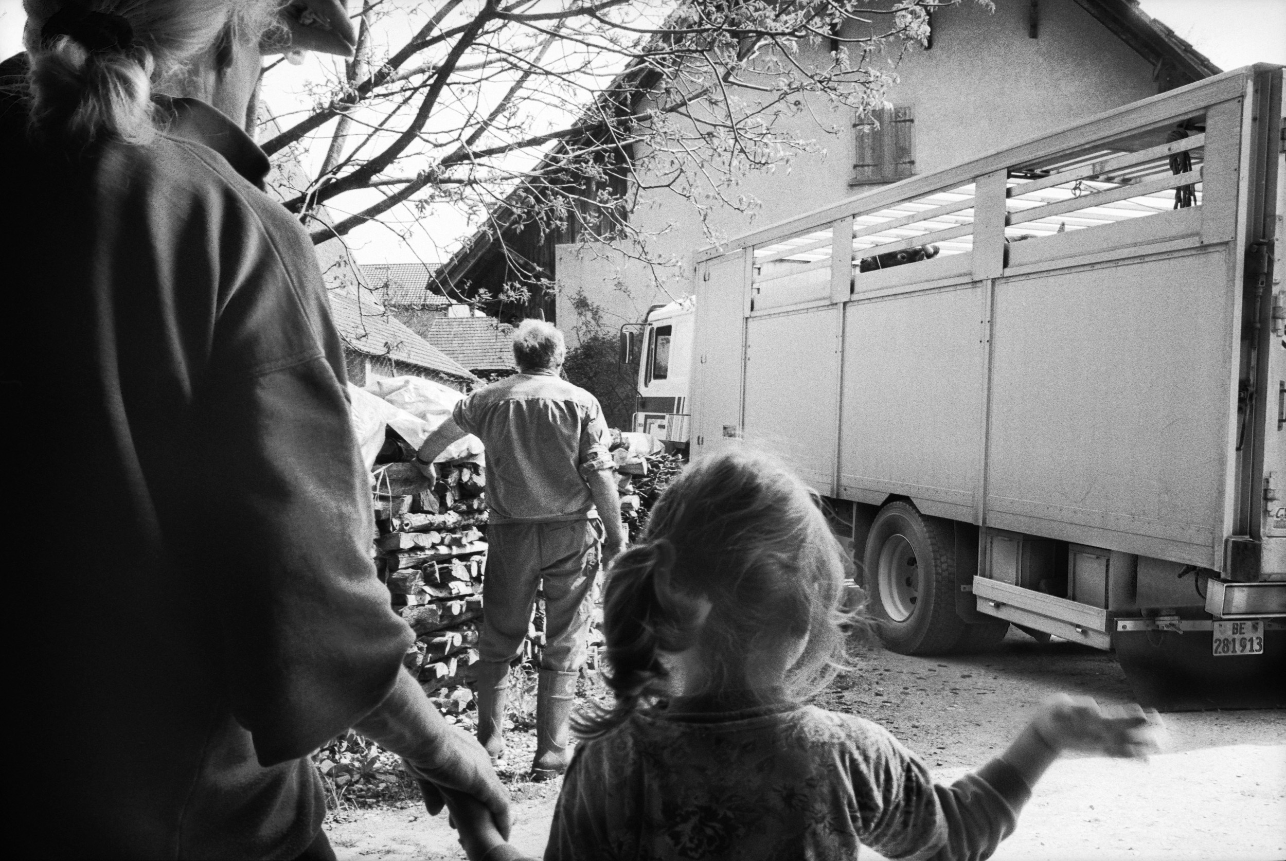 une famille dit au revoir aux vaches