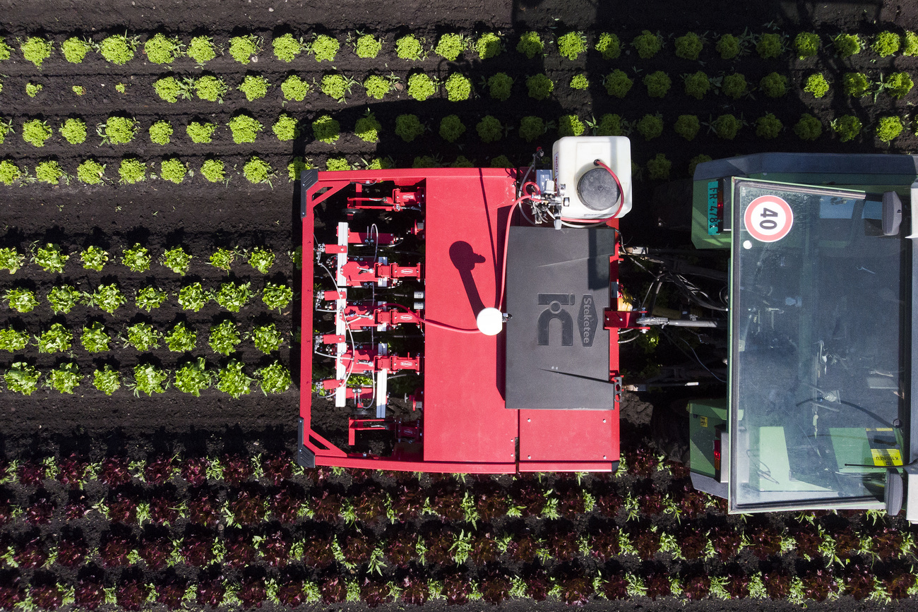 Trattore in un campo