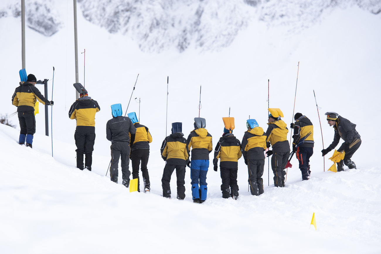 Avalanche rescuers