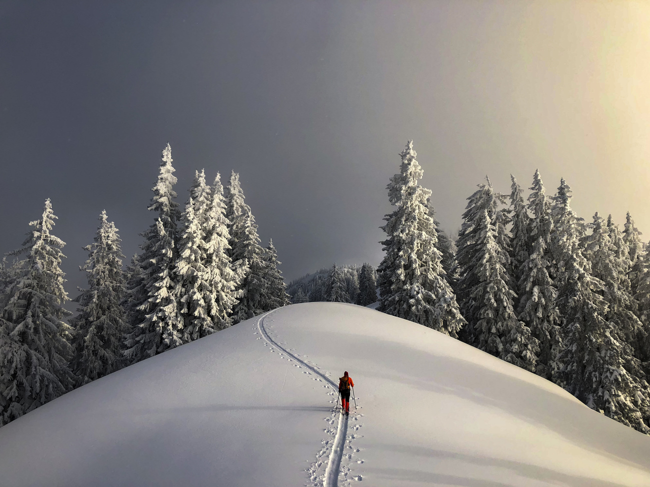 Una persona con gli sci d alta montagna percorre una una via tutta sola.