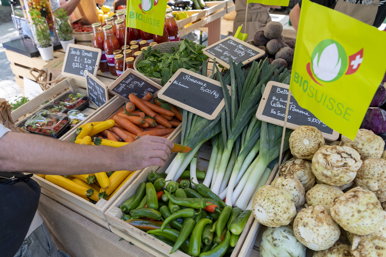 Banco di mercato visto da vicino, con verdure, legumi e bandierina con marchio Bio Suisse