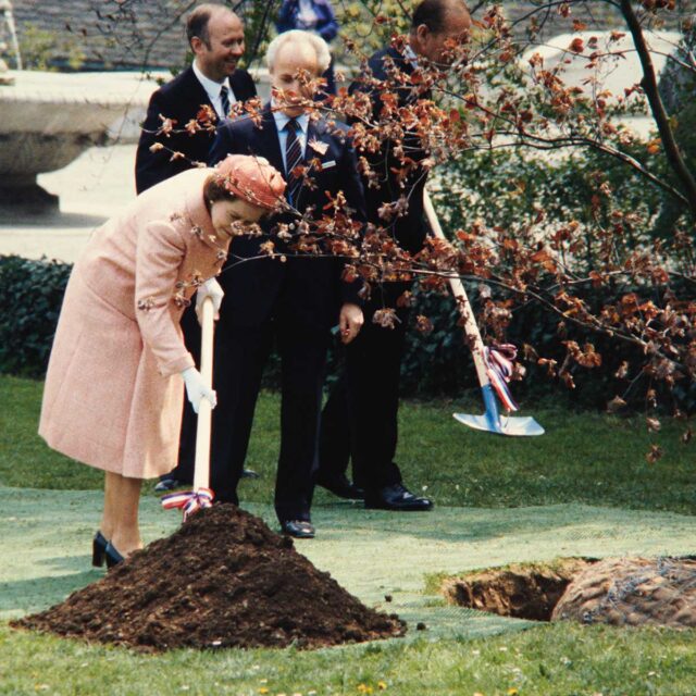 La reine d Angleterre en train de planter un arbre