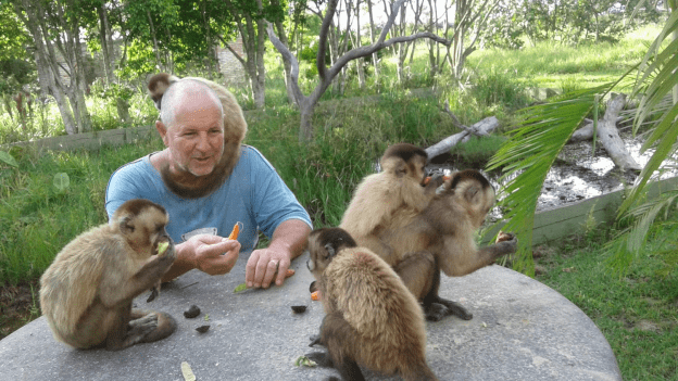 Mann füttert Affen