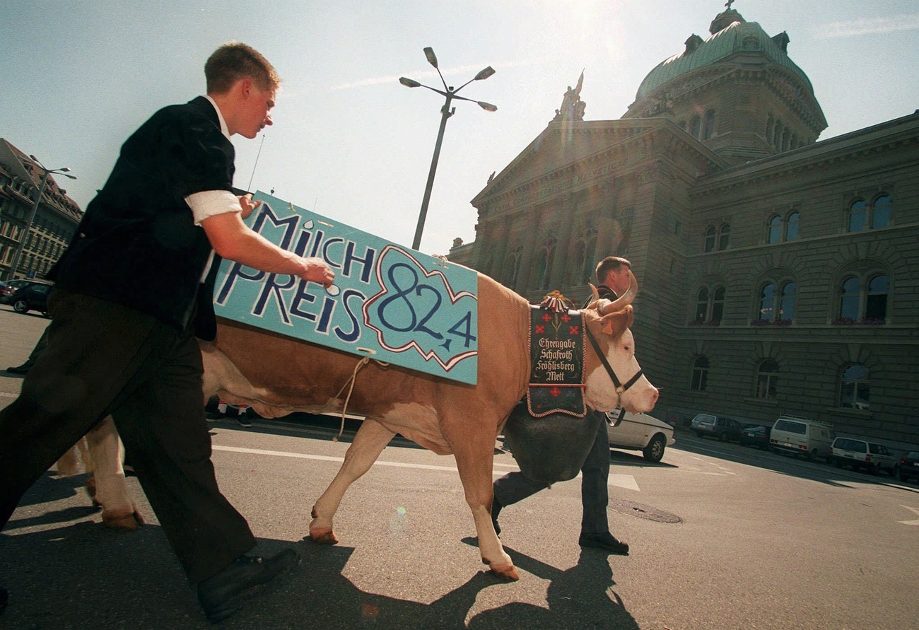 Deux paysans avec une vache devant le Palais fédéral.