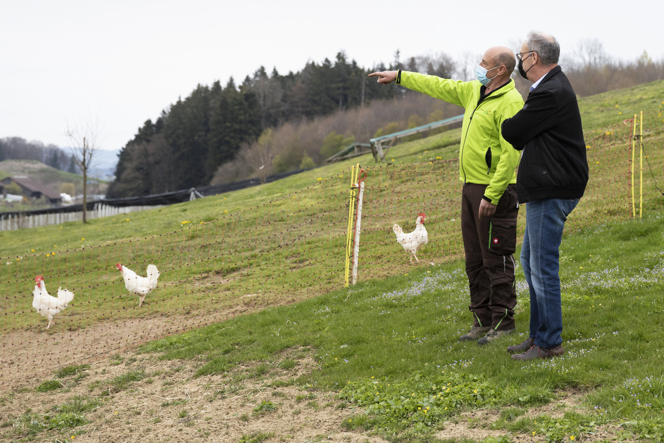 Parmelin beim Bauern