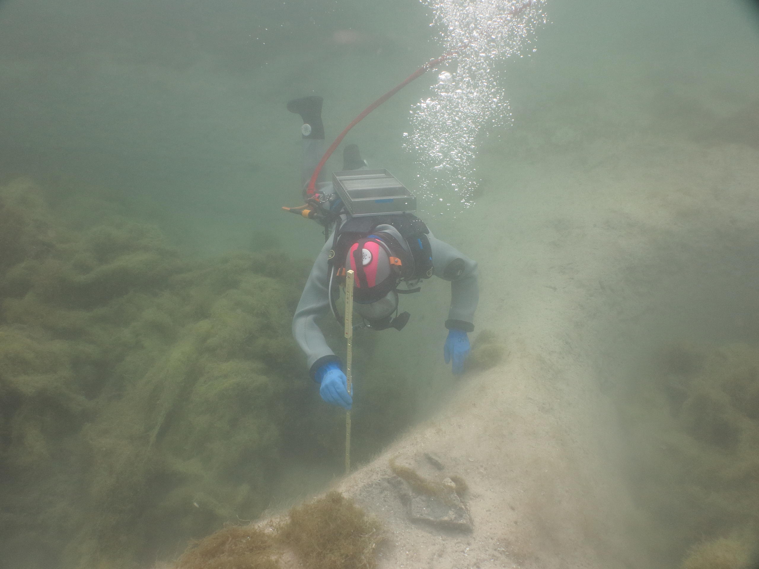 Un buzo bajo el agua en el lago de Lucerna